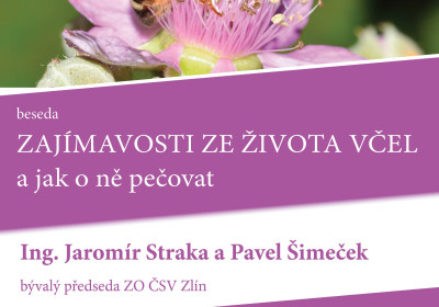 Zajímavosti ze života včel Ing. Jaromír Straka